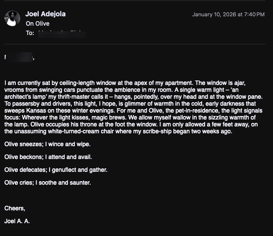The introductory vignette was, first, a letter to a friend.